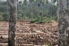 Di Dokumen 5, Nyatanya 76: Mafia Kayu Hutan Terancam Denda Rp 2,5 Miliar