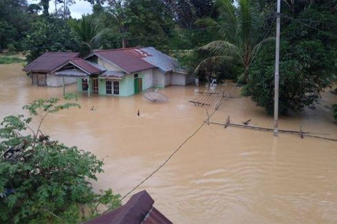 Greenpeace Sebut Banjir Sintang karena Deforestasi, Kalbar Sudah Kehilangan 1,2 Juta Hektar Hutan