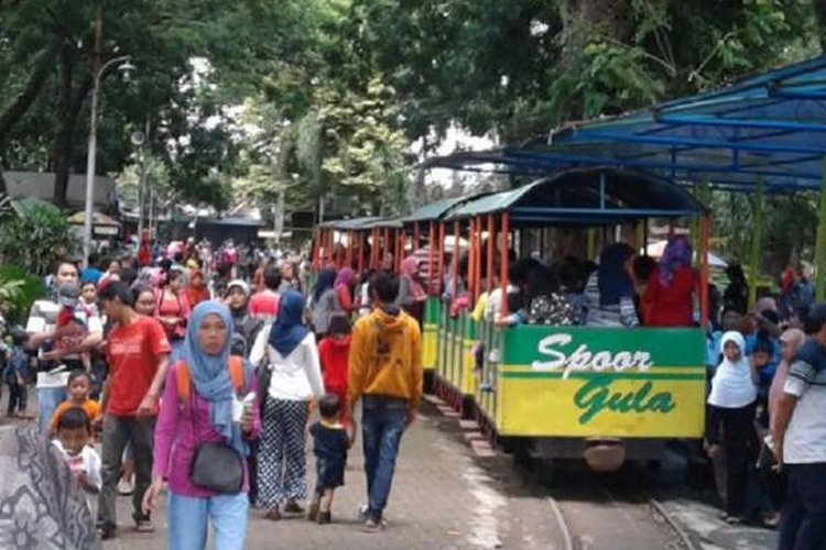 Agrowisata Sondokoro di Karanganyar, Jawa Tengah. Pengunjung dapat melihat dan belajar membuat gula.  