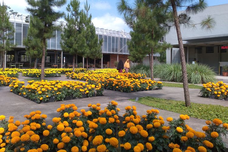 Rumah Atsiri Indonesia di Tawangmangu 