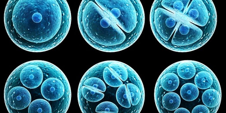 Yosh qiz bir yigitning jilovini tomosha qiladi