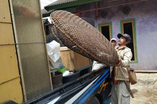 Takut Longsor, Warga Cisolok Sukabumi Ada yang Mengungsi ke Banten