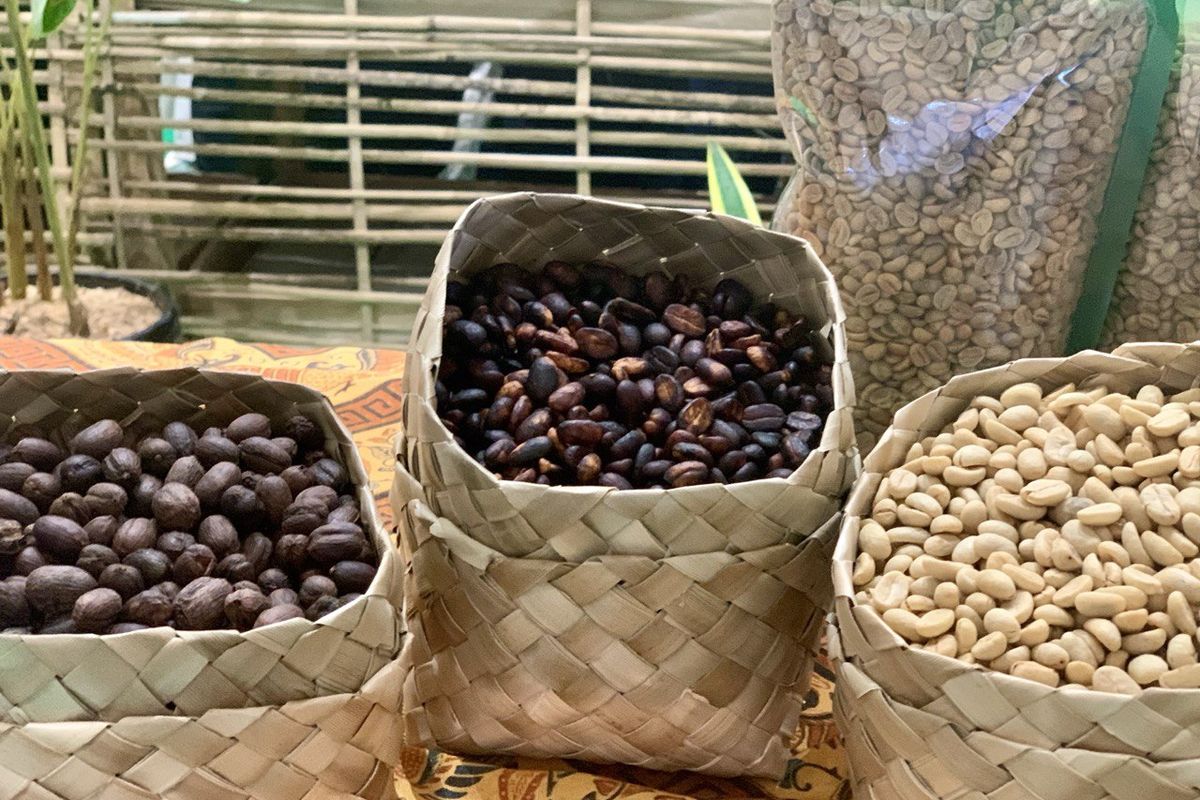 Ilustrasi kopi sumatera di pameran World of Coffee Jakarta, Kamis (15/5/2025).