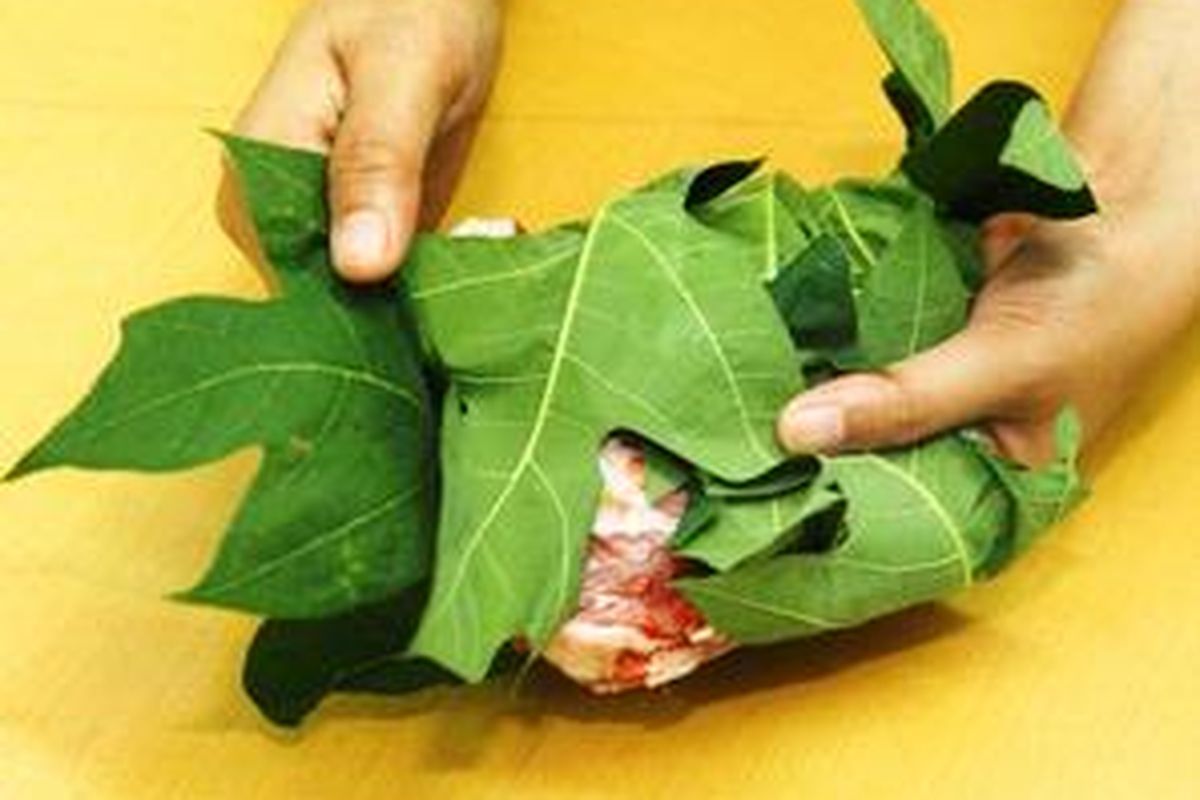 Daun pepaya mengandung enzim papain yang bisa membuat daging kambing lebih empuk.