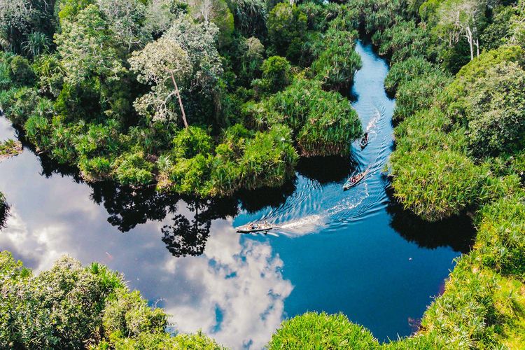 Capaian Proyek Restorasi Ekosistem Riau Lindungi Lahan Basah di Riau                    