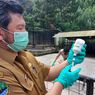 225 Ekor Ternak di Bandung Barat Terpapar PMK Setiap Hari, 25.000 Dosis Vaksin Disiapkan