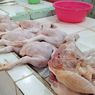Daging Ayam Penjantan Lebih Alot daripada Ayam Broiler, Ini Penjelasan Dosen IPB