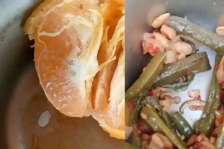Cacing dan Ulat Ditemukan dalam Menu MBG, Penyaluran di 2 Desa Musi Rawas Dihentikan