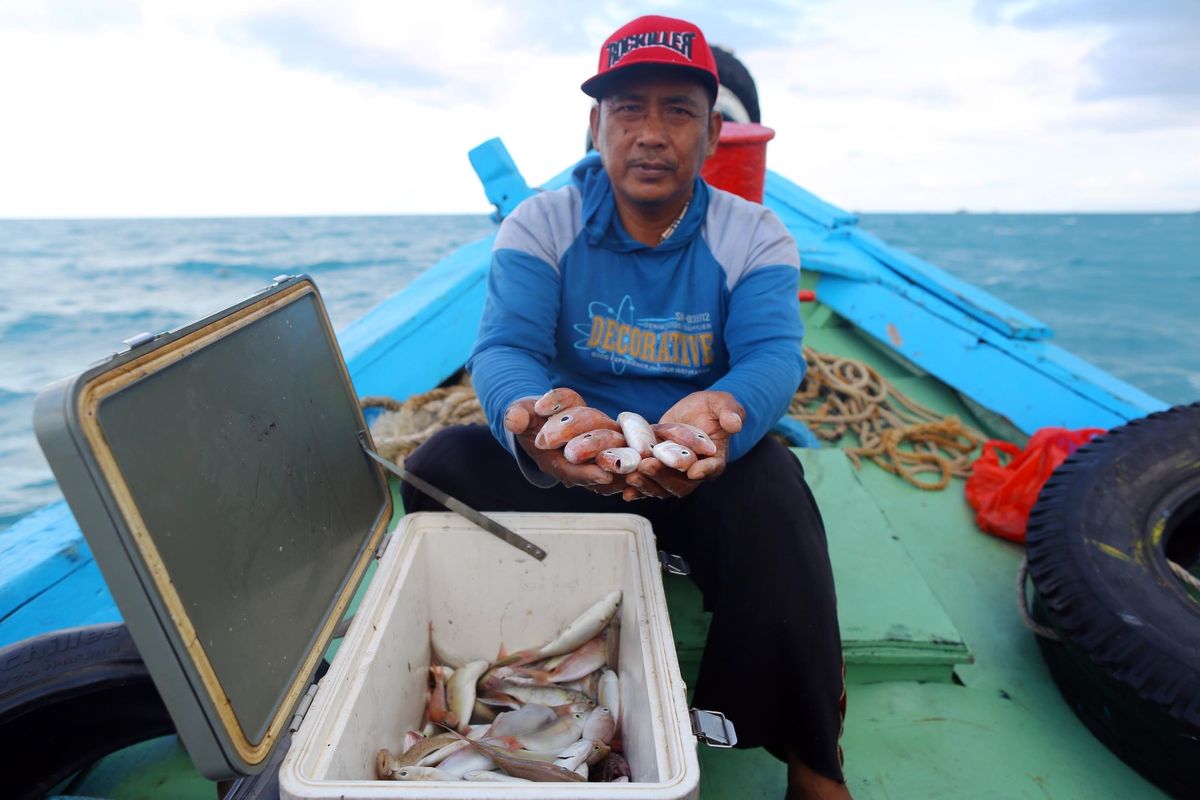 Nelayan yang menjadi binaan MIND ID memerlihatkan kakap putih yang dipanen