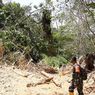 Belum Genap 2 Jam Pulih, Longsor Susulan Kembali Menutup Akses Jalan Bangko-Kerinci