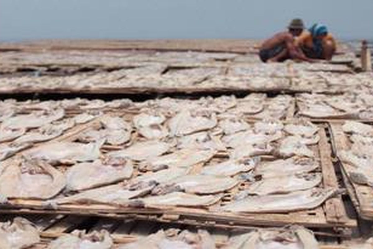 Warga Mayangan Probolinggo Jawa Timur, Jumat (18/1/2013) menjemur ikan untuk dijadikan ikan kering. Harga ikan kering dan ikan asin saat ini naik 2 kali lipat saat ini karena banyak nelayan tidak melaut akibat cuaca buruk. Biasaya harga ikan kering antara Rp 4000-10.000 per kilogram, saat ini harganya antara Rp  8000-16.000 per kg.

