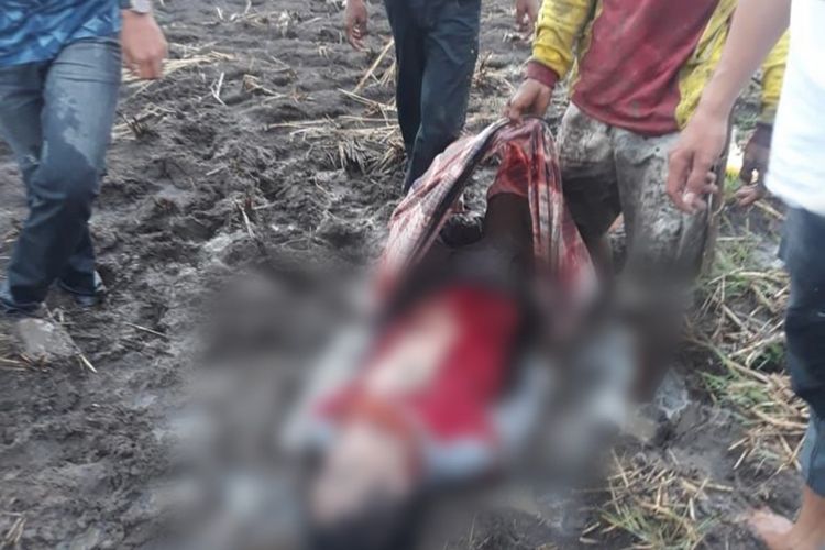 Pakai Baju Merah Bajak Sawah, Haryandi Petir Sambar Satu Petani di Sidrap