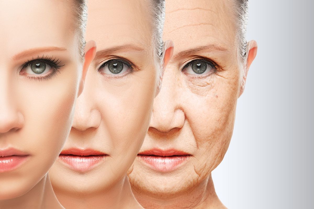 Ilustrasi wajah, penuaan kulit. Semakin tua, wajah jadi semakin tidak simetris.