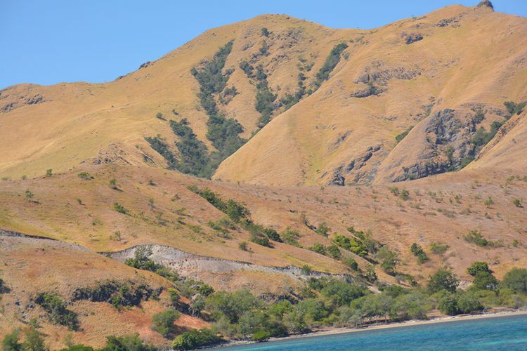 Pemandangan indah bukit di pesisir utara dari Pulau Flores menuju ke Pulau Kinde, Desa Tendakinde, Kecamatan Wolowae, Kabupaten Nagekeo, Flores, NTT, Kamis, (20/6/2019). (KOMPAS.com/MARKUS MAKUR)