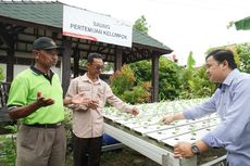 Melalui Pertanian Padi Organik, Petani di Karawang Raup Cuan Ratusan Juta Sekali Panen