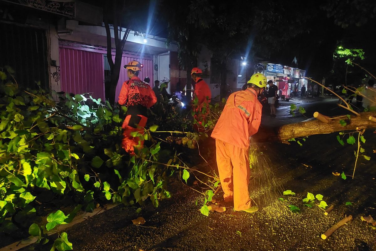 Petugas BPBD Kota Kediri, Jawa Timur, saat mengevakuasi dahan yang tumbang akibat tersangkut truk di Jalan KH.Wachid Hasyim, Bandar Kidul, Jumat (7/2/2025).