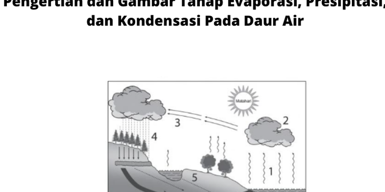 Pengertian Dan Gambar Tahap Evaporasi, Presipitasi, Dan Kondensasi Pada ...