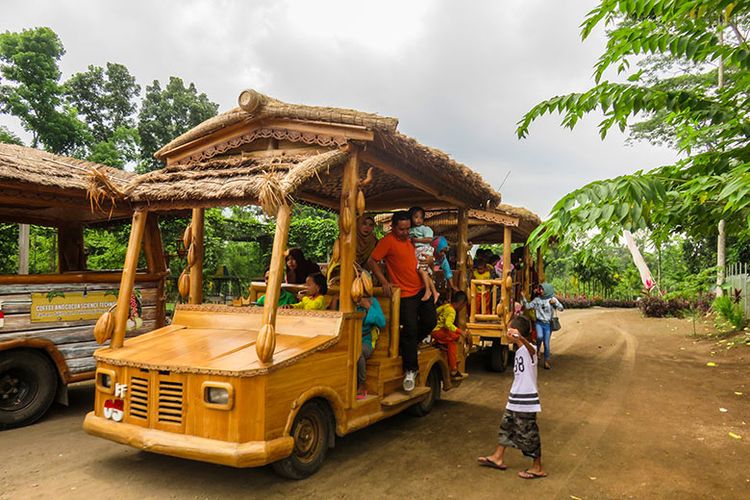 Kereta Kayu yang Membawa Pengunjung Berkeliling Kawasan Puslitkoka Jember