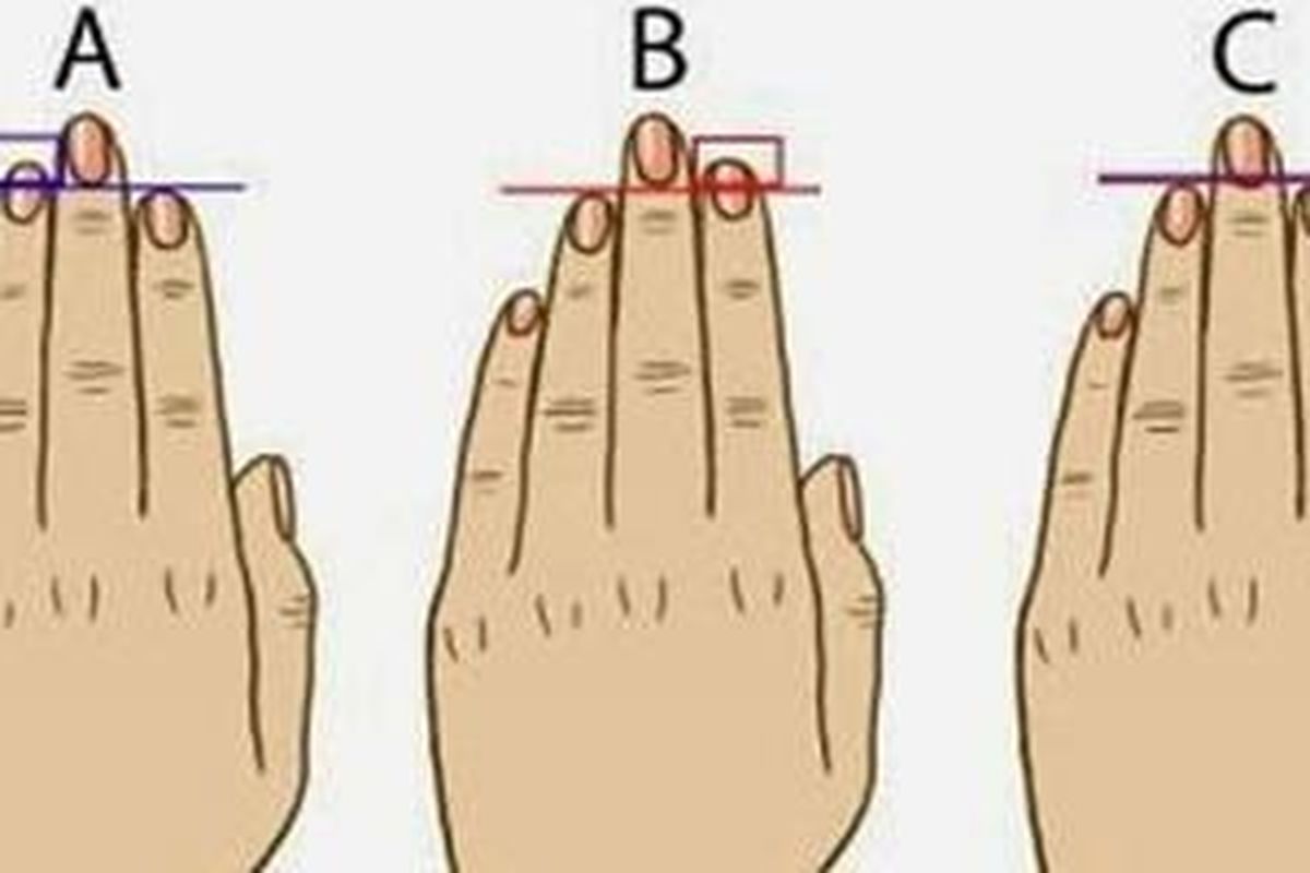 Cobalah bandingkan panjang ukuran jari manis dengan jari telunjuk secara sejajar.