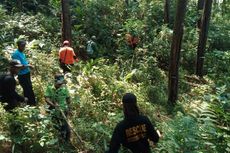 Pamit Cari Kayu Bakar, Pria 59 Tahun Hilang di Hutan Banyumas