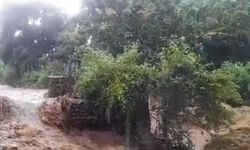 Hutan di Pulau Sumbawa Makin Rusak, Erosi Lahan Semakin Cepat