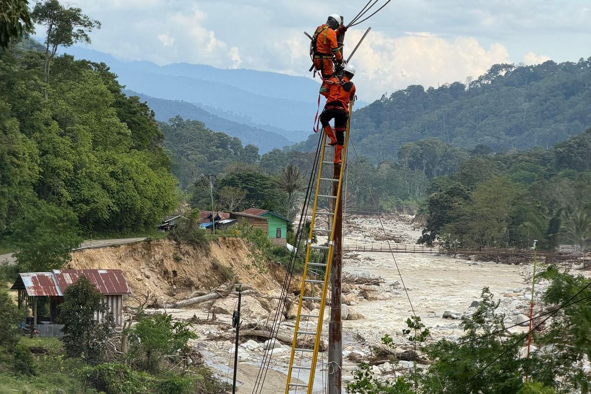 Petugas PLN sedang melakukan perbaikan kabel dan tiang yang terdampak erosi sungai dan tanah longsor. Hingga saat ini, sistem kelistrikan 6.432 desa telah berhasil pulih secara penuh.
