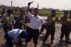 Enam Penimbun Pupuk di Malang Ditangkap Babinsa