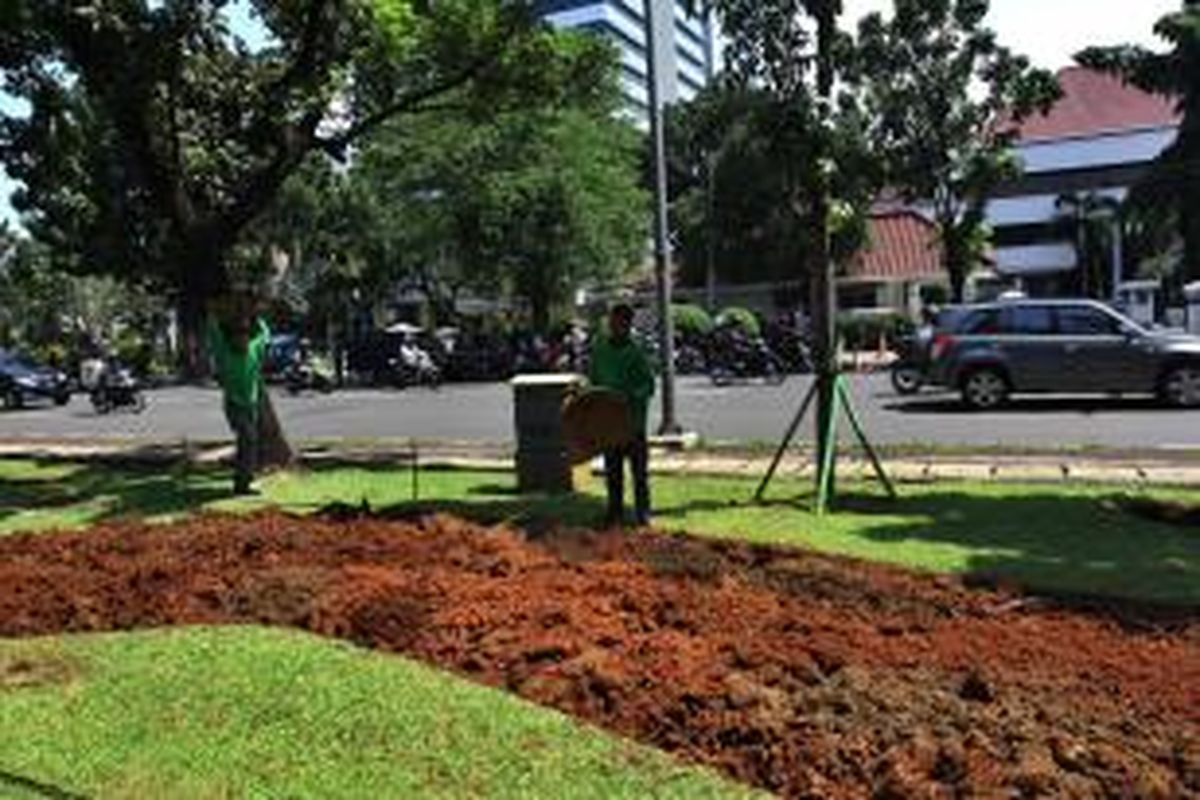 Pekerja tengam membuat taman kota di Jalan Medan Merdeka Selatan, Jakarta Pusat, Jumat (8/1/2013). Pemerintah Provinsi DKI Jakarta tahun 2013 menganggarkan Rp 500 miliar untuk pembangunan taman yang akan digunakan sebagai taman kota sebagai upaya mewujudkan target 30 persen ruang terbuka hijau (RTH).