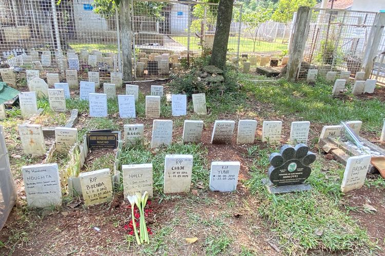 Merawat Kenangan di Makam Anabul Ragunan, Tradisi Tujuh Harian hingga Ziarah Ulang Tahun
