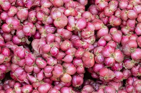 Simak, Ini Tahapan Pemupukan dan Jenis Pupuk Bawang Merah 