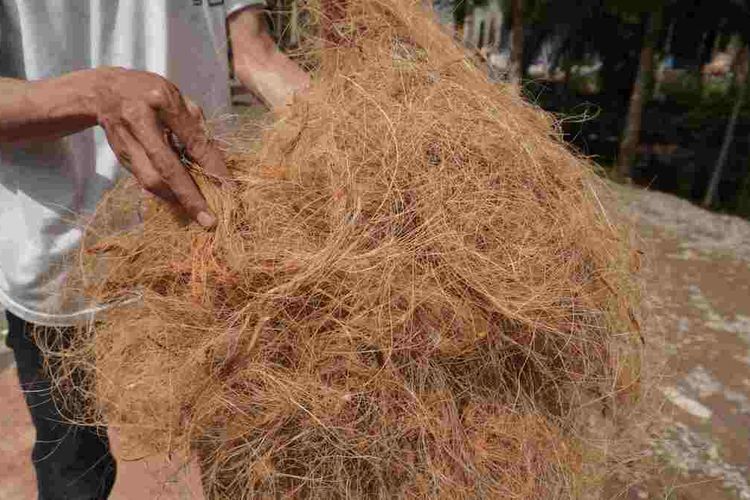 Coco fiber hasil pengolahan serabut kelapa oleh Kelompok Putri Mangrove dan Kelompok Tani Nipah di Dusun III Lubuk Jaya, Desa Kwala Serapuh, Kecamatan Tanjung Pura, Kabupaten Langkat. Coco fiber ini bisa dimanfaatkan untuk pertanian salah satunya pengganti mulsa.