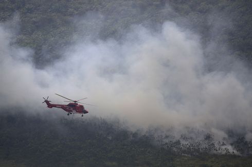 6 Catatan Karhutla Sumsel 2019: Kebun Raya dan Tanaman Langka Ikut Terbakar hingga Penemuan Harta Karun Sriwijaya