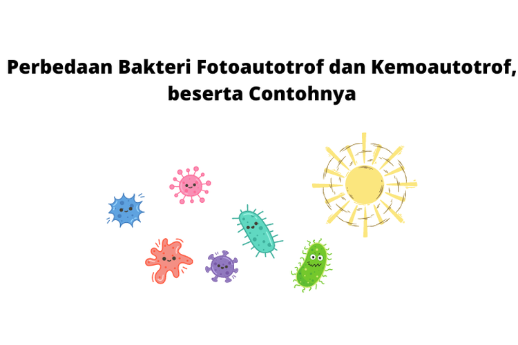 Jelaskan perbedaan antara bakteri fotoautotrof dan bakteri kemoautotrof, berilah contoh masing-masing!