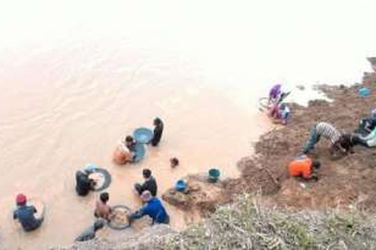 Warga di Tebo Ulu berbondong mencari emas di Sungai Batanghari, Jambi, Minggu (31/7/2016) setelah dikabarkan ditemukan emas di daerah itu.
