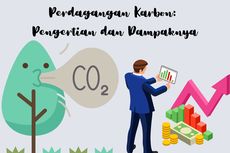 Perkembangan Perdagangan Karbon di Indonesia