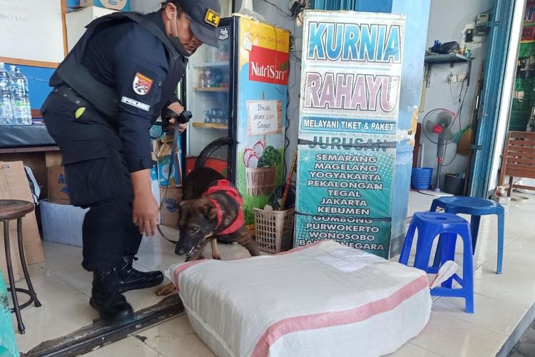 Anjing pelacak milik Polresta Solo memeriksa di area pengiriman barang di Terminal Tipe A Tirtonadi Solo, Jawa Tengah, Rabu (15/3/2023).