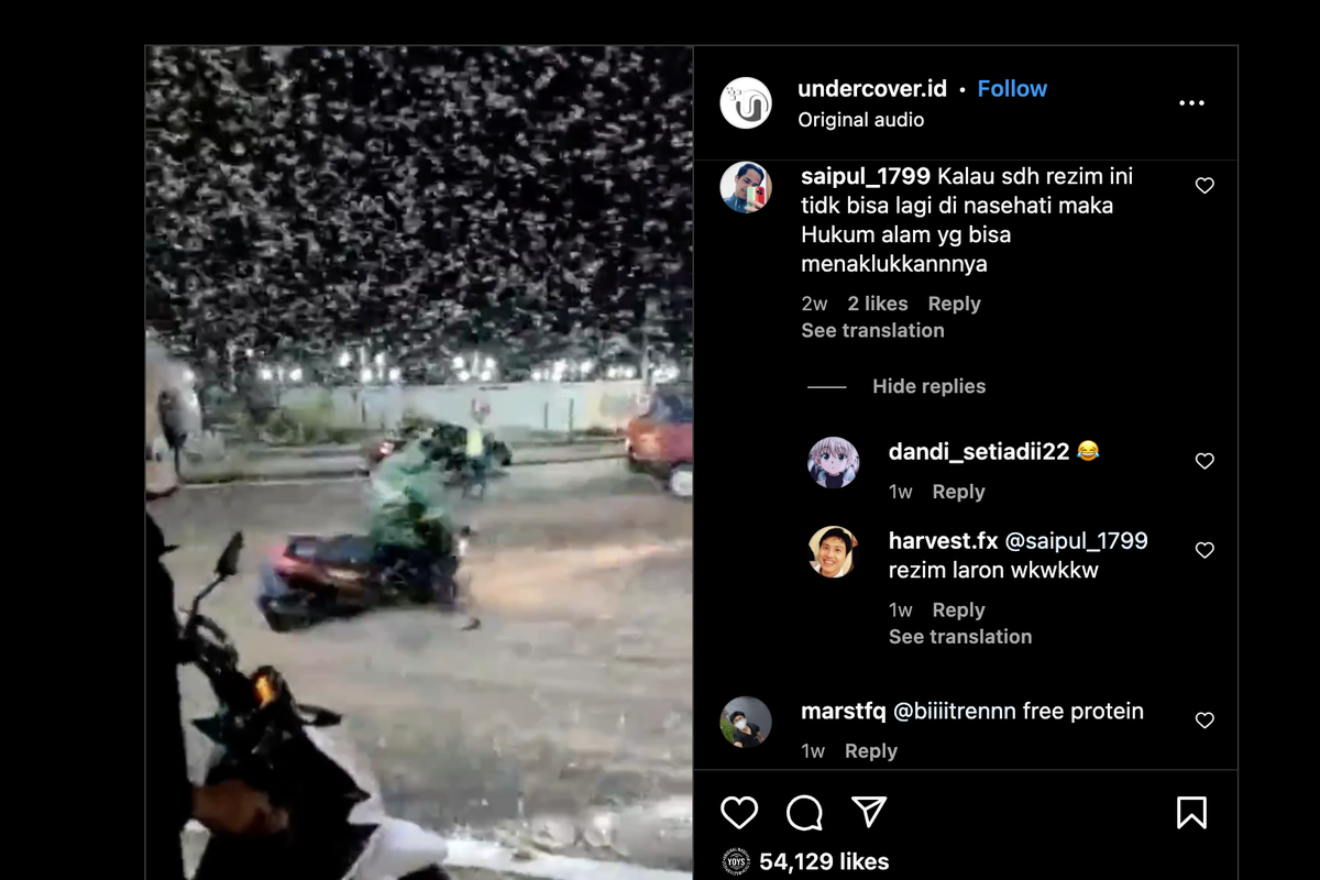 Kecelakaan motor akibat koloni laron di Jawa tengah