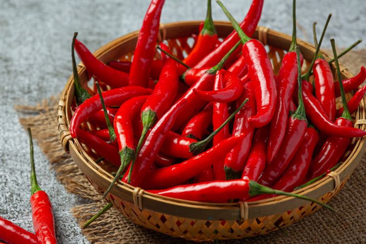 Ilustrasi cabai, cabai merah. 