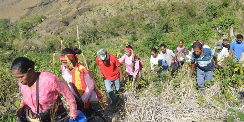 Tradisi Karong Woja Wole merupakan tradisi mengantar padi sebagai ratu alam semesta di Suku Gunung dan suku-suku lain yang tersebar di kawasan selatan Kota Komba, Kabupaten Manggarai Timur, Flores, Nusa Tenggara Timur. 