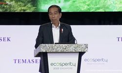 Jokowi Larang Kementerian Lembaga Bikin Aplikasi Baru