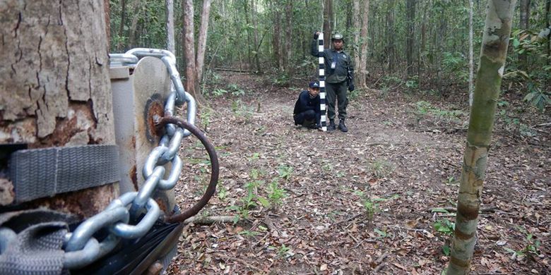 Pemasangan kamera jebak (trap camera) di kawasan hutan Taman Nasional Way Kambas (TNWK). Kamera jebak ini untuk merekam dan mensurvei keberadaan badak liar di kawasan hutan tersebut. (FOTO: Dok. ALeRT)