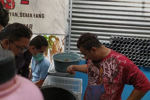 Kobuele, Penyanyi Hip Hop Asal Semarang, Kini Geluti Bisnis Lobster Tawar Beromzet Puluhan Juta Rupiah