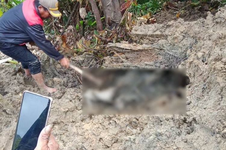 Tim SAR gabungan kembali menemukan korban tanah longsor di perbatasan Desa Pangi Kecamatan Latimojong dan Desa Malenggang Kecamatan Bua Ponrang (Bupon), Kabupaten Luwu, Sulawesi Selatan, Minggu (12/5/2024).