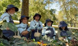 Terapkan Teknologi Geothermal Dry House, Pertamina Bawa Kopi Kamojang Tembus Pasar Asia dan Eropa