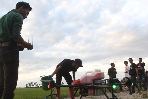 Petani di Daerah Lumbung Beras Sulsel Mulai Menggunakan Drone untuk Basmi Hama di Sawah