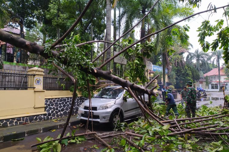 Petugas tengah mengevakuasi pohon tumbang yang menimpa satu mobil di Gedung DPRD Kota Depok pada Senin (13/6/2022).