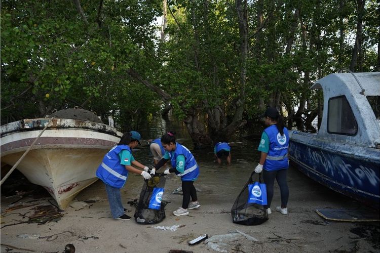 Dedikasi AQUA: Menciptakan Ekosistem Berkelanjutan Melalui Siklus Ekonomi dan Konservasi Alam Indonesia