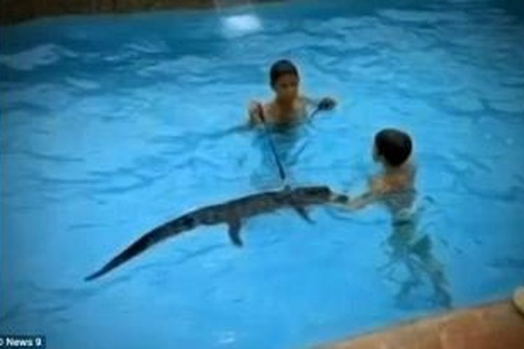 Program anak-anak berenang bersama buaya yang digelar organisasi amal Safari Sanctuary di Oklahoma, AS mendapat kecaman dari para orangtua dan kelompok penyayang binatang.