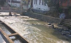 Strategi Ditjen PSP Kementan Antisipasi El Nino, dari AUTP hingga Pompa Air