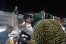 Berburu Durian Barsela di  Lhoksumawe Saat Malam 